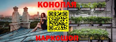 спайс Можга