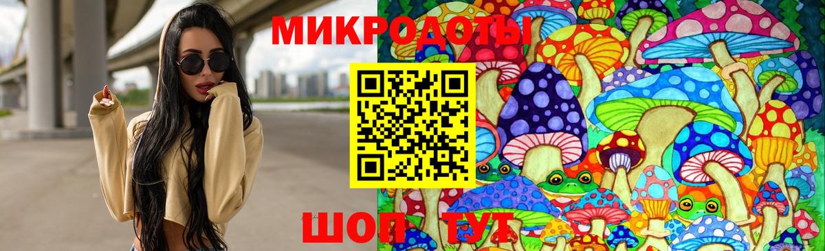 Псилоцибиновые грибы прущие грибы Тавда